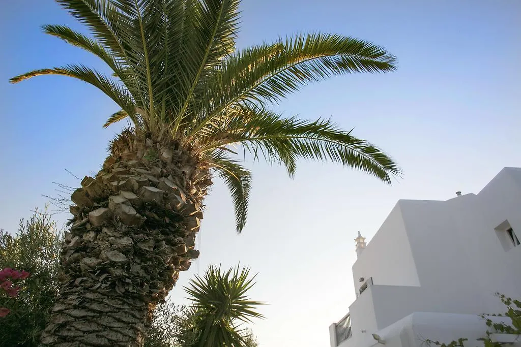 Anna-Maria Mykonos Hotel-1